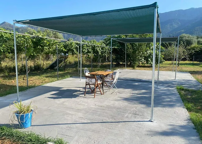 Studios Tasos Bi